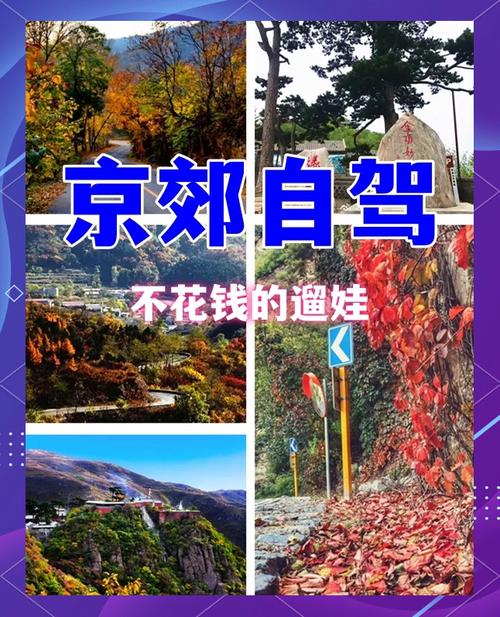 北京旅游线路推荐表?北京旅游线路介绍?-第4张图片-诗丽旅游网 北京旅游线路推荐表?北京旅游线路介绍?-第4张图片-诗丽旅游网