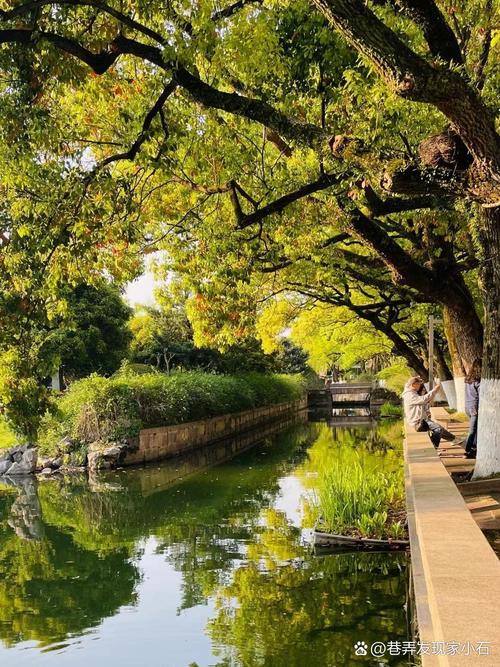 宁波旅游攻略一日游最佳景点,宁波旅游胜地一日游?-第5张图片-诗丽旅游网 宁波旅游攻略一日游最佳景点,宁波旅游胜地一日游?-第5张图片-诗丽旅游网