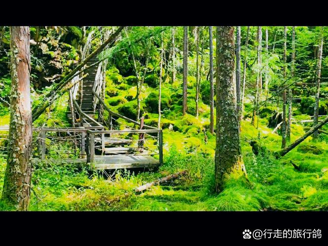 牡丹江风景旅游景点大全,牡丹江著名的旅游景点有哪些-第1张图片-诗丽旅游网 牡丹江风景旅游景点大全,牡丹江著名的旅游景点有哪些-第1张图片-诗丽旅游网