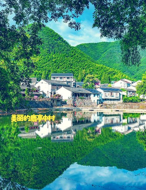 余姚旅游景点大全介绍,余姚旅游景点大全排名-第6张图片-诗丽旅游网 余姚旅游景点大全介绍,余姚旅游景点大全排名-第6张图片-诗丽旅游网