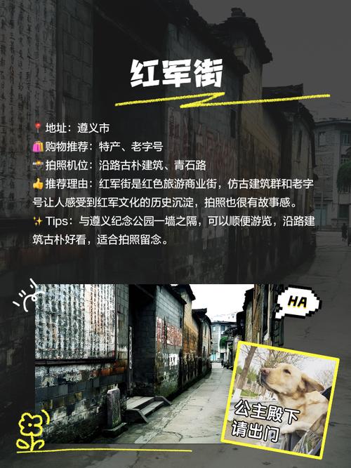 贵州遵义旅游景点攻略大全,贵州遵义市景点?-第4张图片-诗丽旅游网 贵州遵义旅游景点攻略大全,贵州遵义市景点?-第4张图片-诗丽旅游网