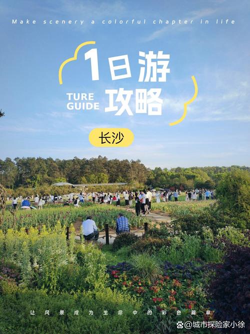 湖南旅游景点推荐一日游,湖南旅游景点推荐一日游攻略?-第3张图片-诗丽旅游网 湖南旅游景点推荐一日游,湖南旅游景点推荐一日游攻略?-第3张图片-诗丽旅游网
