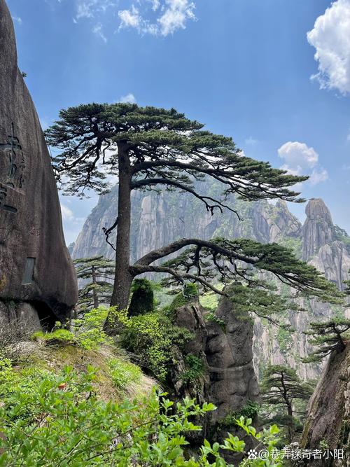 黄山温泉自驾游攻略?黄山温泉自驾游攻略一日游?-第3张图片-诗丽旅游网 黄山温泉自驾游攻略?黄山温泉自驾游攻略一日游?-第3张图片-诗丽旅游网