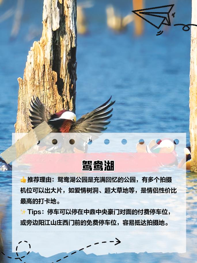 阳江附近自驾游有什么景点？阳江附近自驾游有什么景点吗？-第3张图片-诗丽旅游网