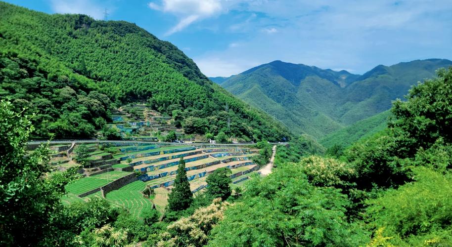余姚旅游景点攻略自驾游路线?余姚旅游景点大全 风景名胜?-第1张图片-诗丽旅游网 余姚旅游景点攻略自驾游路线?余姚旅游景点大全 风景名胜?-第1张图片-诗丽旅游网
