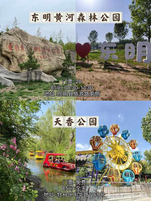春节去哪里旅游好春节旅游线路推荐菏泽,菏泽过年好玩的地方?-第3张图片-诗丽旅游网 春节去哪里旅游好春节旅游线路推荐菏泽,菏泽过年好玩的地方?-第3张图片-诗丽旅游网