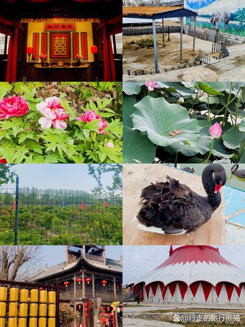春节去哪里旅游好春节旅游线路推荐菏泽,菏泽过年好玩的地方?-第5张图片-诗丽旅游网 春节去哪里旅游好春节旅游线路推荐菏泽,菏泽过年好玩的地方?-第5张图片-诗丽旅游网