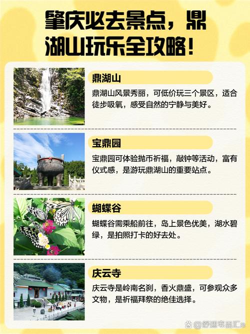 肇庆鼎湖山游玩路线攻略,肇庆鼎湖山自助游攻略?-第5张图片-诗丽旅游网 肇庆鼎湖山游玩路线攻略,肇庆鼎湖山自助游攻略?-第5张图片-诗丽旅游网