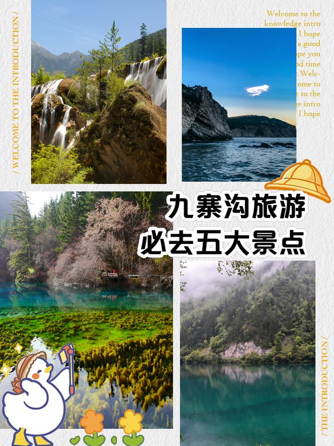 九寨沟旅游攻略一日游最佳路线推荐，九寨沟旅游攻略及费用-第5张图片-诗丽旅游网