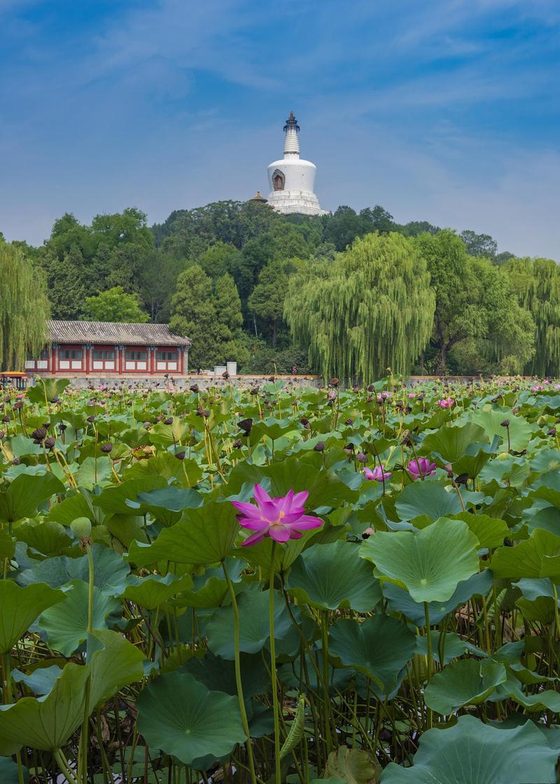北京旅游景点列表,北京旅游景点儿大全集?-第2张图片-诗丽旅游网 北京旅游景点列表,北京旅游景点儿大全集?-第2张图片-诗丽旅游网