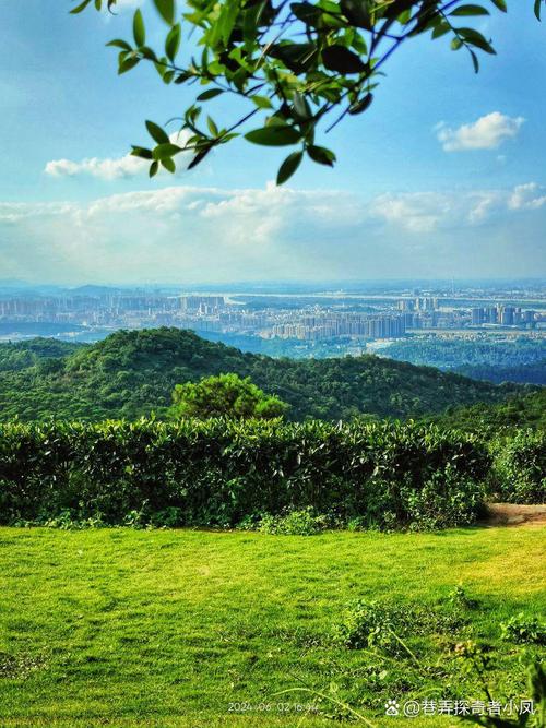 江门旅游攻略自驾游景点?江门旅游攻略自由行攻略?-第5张图片-诗丽旅游网 江门旅游攻略自驾游景点?江门旅游攻略自由行攻略?-第5张图片-诗丽旅游网