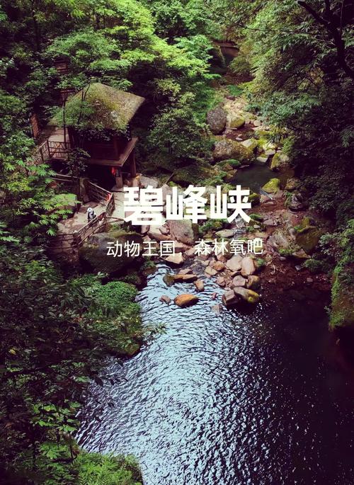 碧峰峡景区游玩路线？碧峰峡风景区攻略？-第4张图片-诗丽旅游网