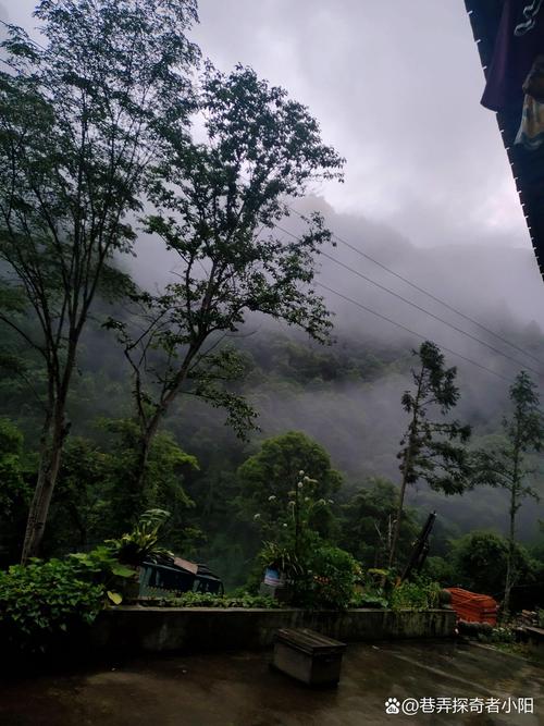 邵阳旅游景点攻略自驾游,邵阳旅游胜地?-第5张图片-诗丽旅游网 邵阳旅游景点攻略自驾游,邵阳旅游胜地?-第5张图片-诗丽旅游网
