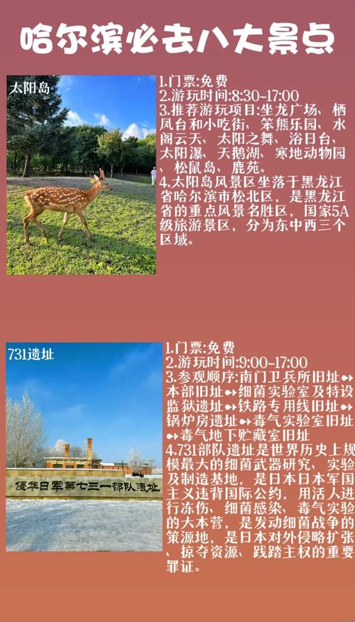 哈尔滨的景点英语？哈尔滨景点英语范文5分钟？-第2张图片-诗丽旅游网
