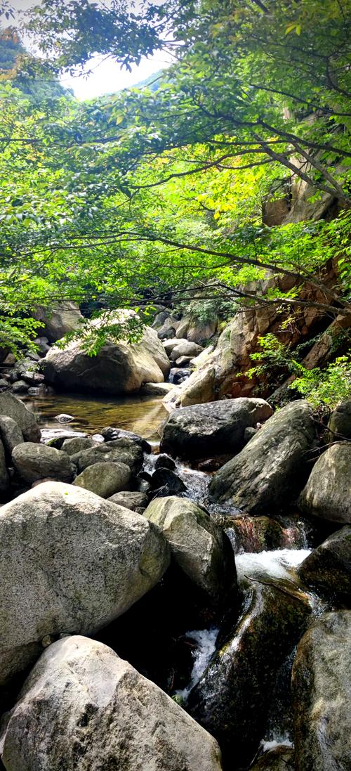 平顶山旅游景点排名前十名,河南平顶山旅游景点排名前十名?-第5张图片-诗丽旅游网 平顶山旅游景点排名前十名,河南平顶山旅游景点排名前十名?-第5张图片-诗丽旅游网