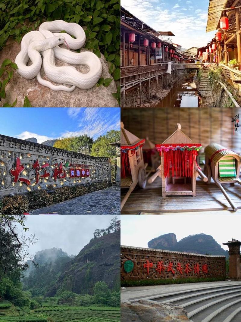 福建旅游线路设计,福建旅游十条精品线路?-第4张图片-诗丽旅游网 福建旅游线路设计,福建旅游十条精品线路?-第4张图片-诗丽旅游网