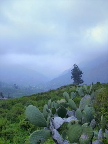 秘鲁旅游线路,秘鲁旅游指南-第3张图片-诗丽旅游网 秘鲁旅游线路,秘鲁旅游指南-第3张图片-诗丽旅游网