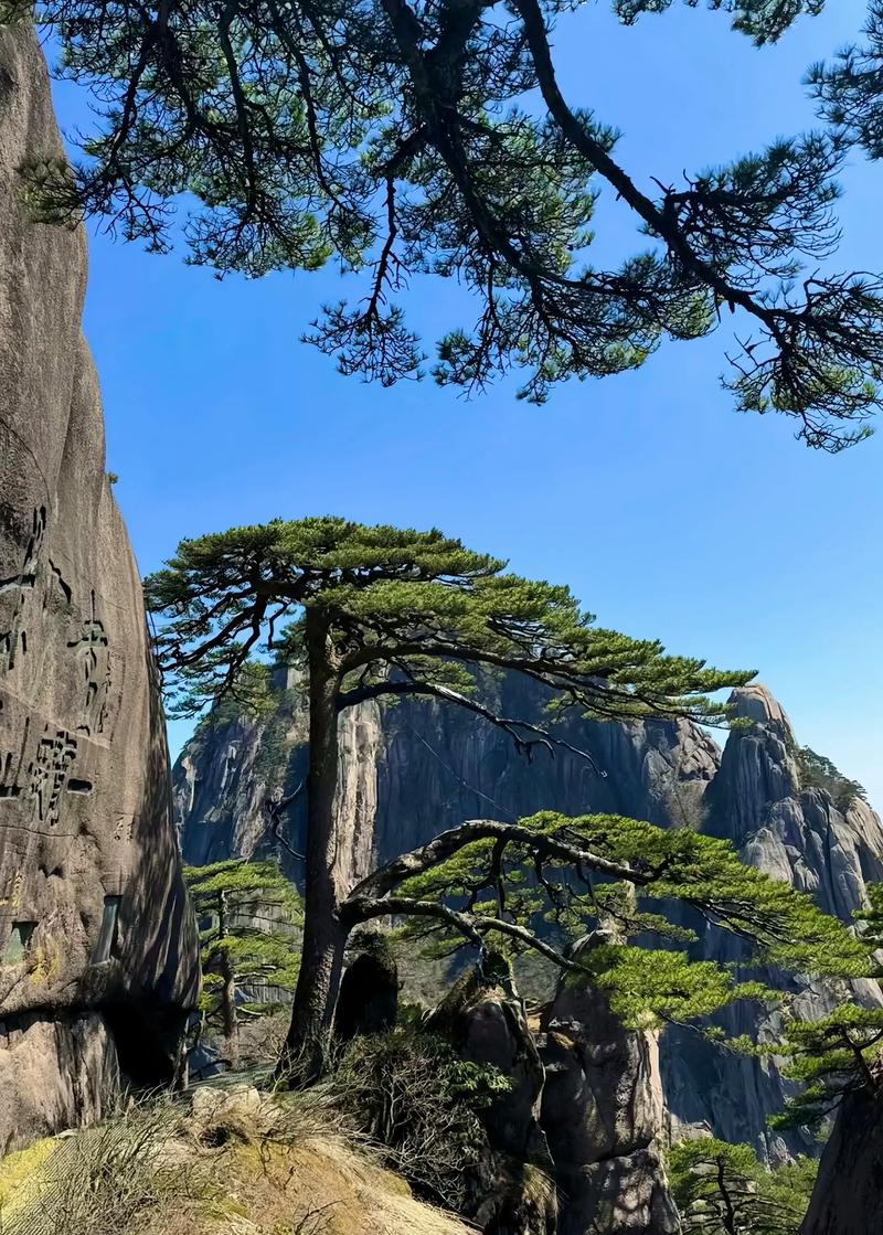 黄山三日游线路设计?黄山三日游旅游计划?-第4张图片-诗丽旅游网 黄山三日游线路设计?黄山三日游旅游计划?-第4张图片-诗丽旅游网