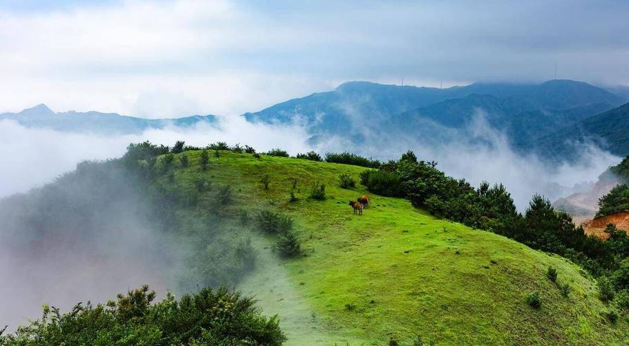阳江游玩景点大全集，阳江前十旅游景点大全-第5张图片-诗丽旅游网