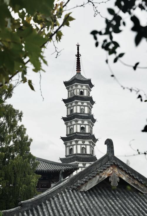 衢州带孩子游玩景点，衢州带小孩哪里好玩的景点？-第2张图片-诗丽旅游网