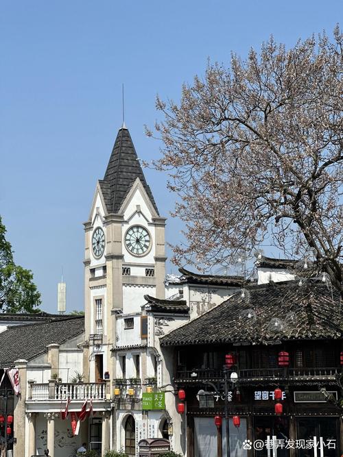 衢州带孩子游玩景点，衢州带小孩哪里好玩的景点？-第4张图片-诗丽旅游网
