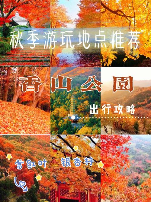 香山公园路线游玩攻略大全？香山公园游玩路线图？-第4张图片-诗丽旅游网