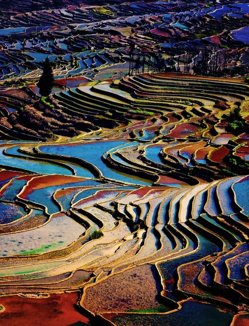 红河旅游景点大全排名榜最新,云南红河旅游景点排名?-第3张图片-诗丽旅游网 红河旅游景点大全排名榜最新,云南红河旅游景点排名?-第3张图片-诗丽旅游网