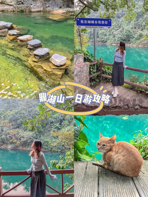 肇庆旅行攻略，肇庆旅游功略？-第1张图片-诗丽旅游网