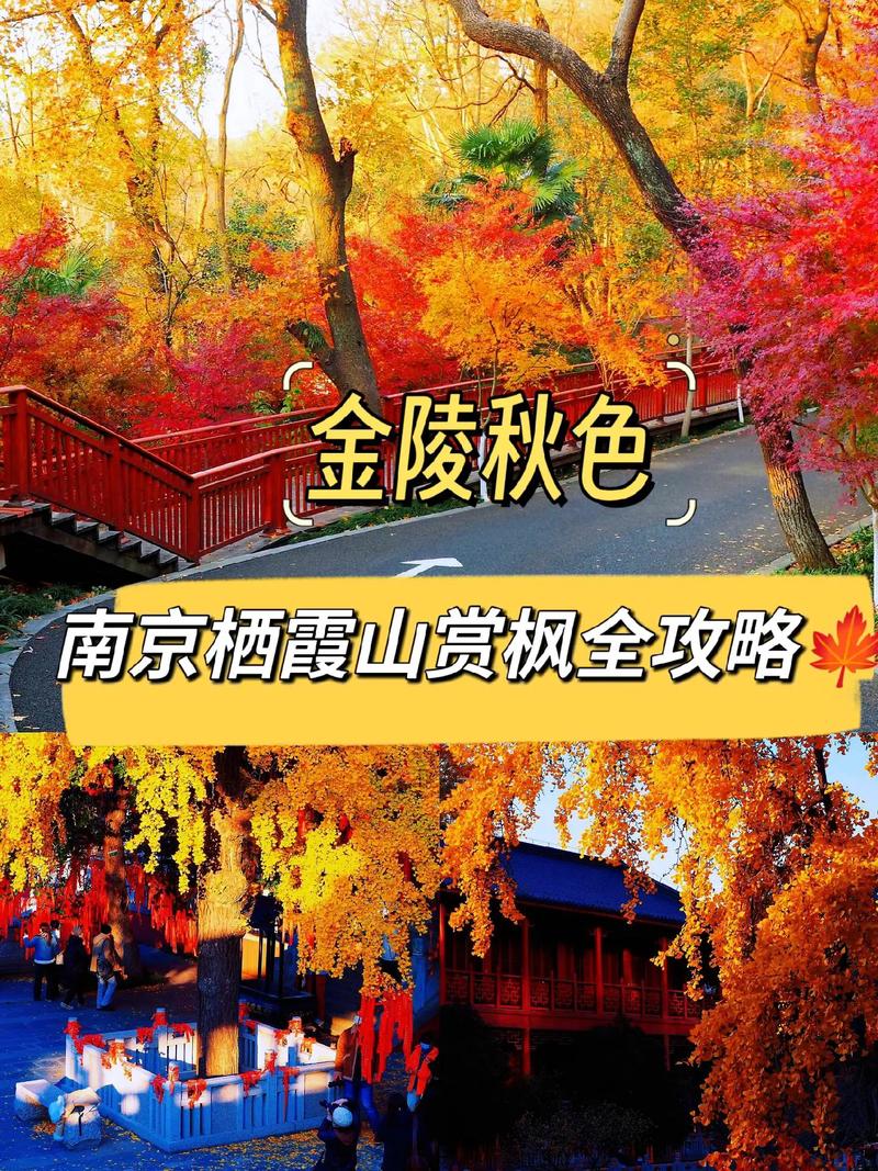 南京旅游攻略景点门票优惠政策，南京旅游景点门票费用-第2张图片-诗丽旅游网