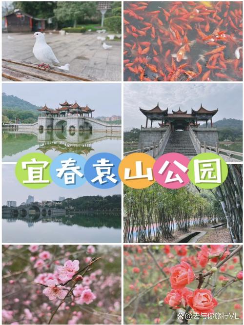 江西宜春旅游攻略景点必去的地方推荐,江西宜春旅游有哪些景点-第5张图片-诗丽旅游网 江西宜春旅游攻略景点必去的地方推荐,江西宜春旅游有哪些景点-第5张图片-诗丽旅游网