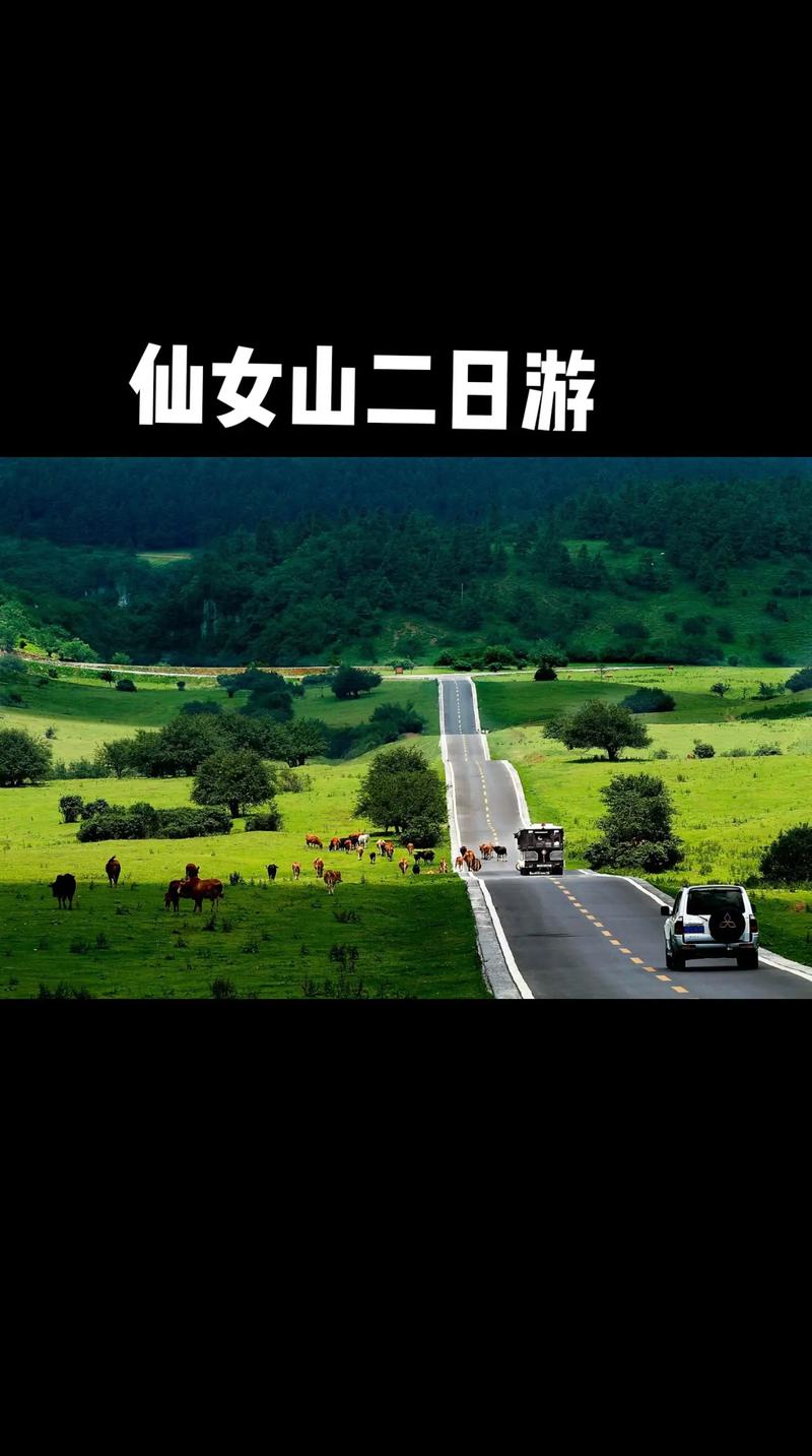 重庆武隆旅游景点攻略自驾车两天游,重庆武隆旅游景点好玩吗-第5张图片-诗丽旅游网 重庆武隆旅游景点攻略自驾车两天游,重庆武隆旅游景点好玩吗-第5张图片-诗丽旅游网