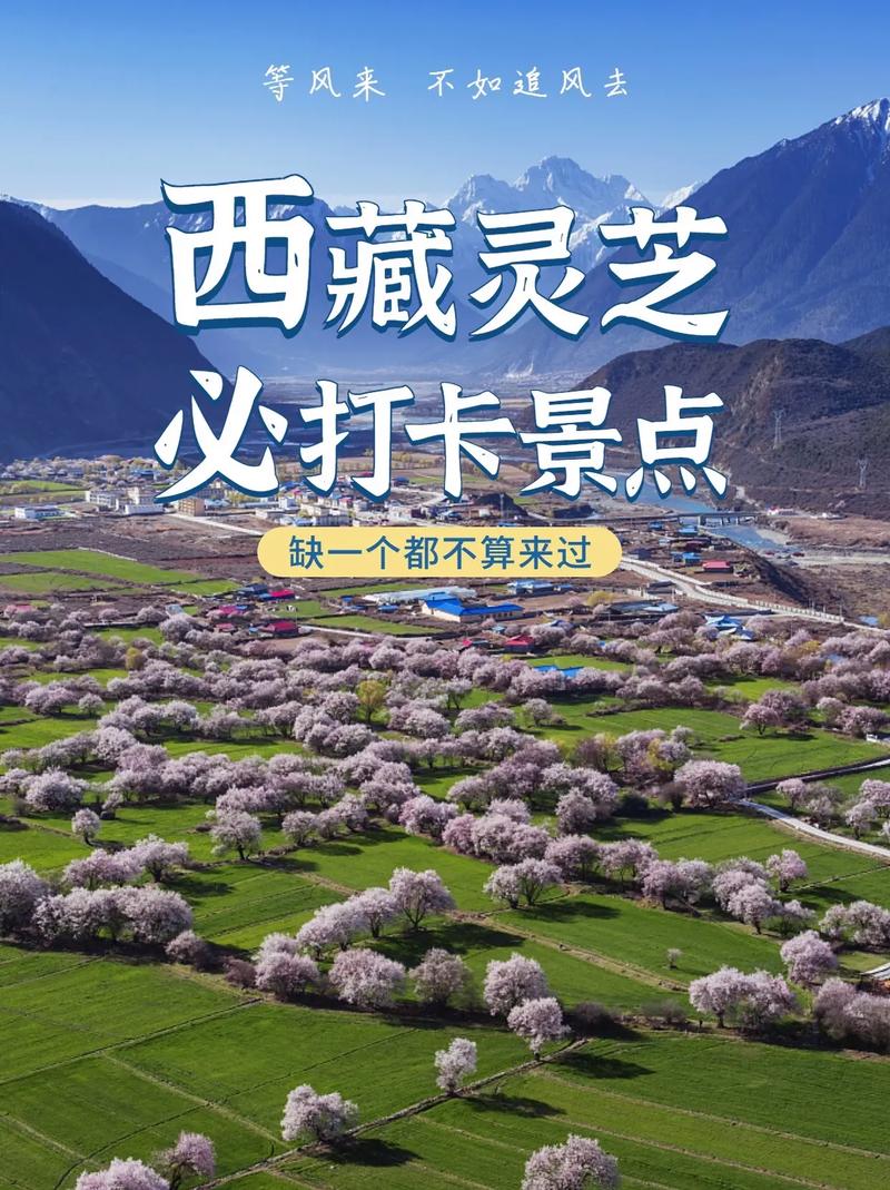 林芝旅游攻略自由行？林芝旅游攻略自由行三天？-第2张图片-诗丽旅游网