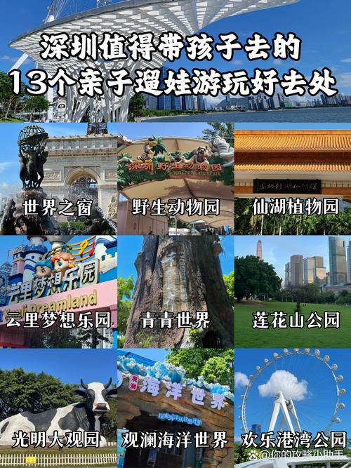 深圳暑假旅游攻略,深圳暑假旅游景点?-第4张图片-诗丽旅游网 深圳暑假旅游攻略,深圳暑假旅游景点?-第4张图片-诗丽旅游网