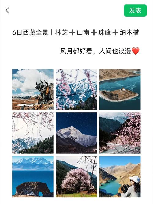 林芝旅游攻略游,林芝旅游指南-第3张图片-诗丽旅游网 林芝旅游攻略游,林芝旅游指南-第3张图片-诗丽旅游网