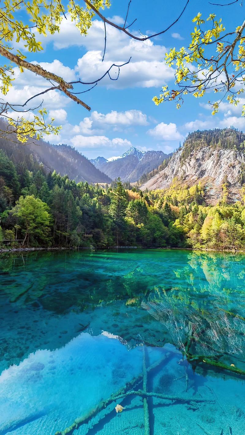 九寨沟旅游景点攻略,九寨沟景点游玩攻略?-第4张图片-诗丽旅游网 九寨沟旅游景点攻略,九寨沟景点游玩攻略?-第4张图片-诗丽旅游网