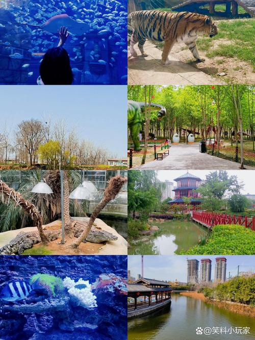 漯河旅游景点大全一日游费用多少,漯河旅游景点大全排名?-第4张图片-诗丽旅游网 漯河旅游景点大全一日游费用多少,漯河旅游景点大全排名?-第4张图片-诗丽旅游网