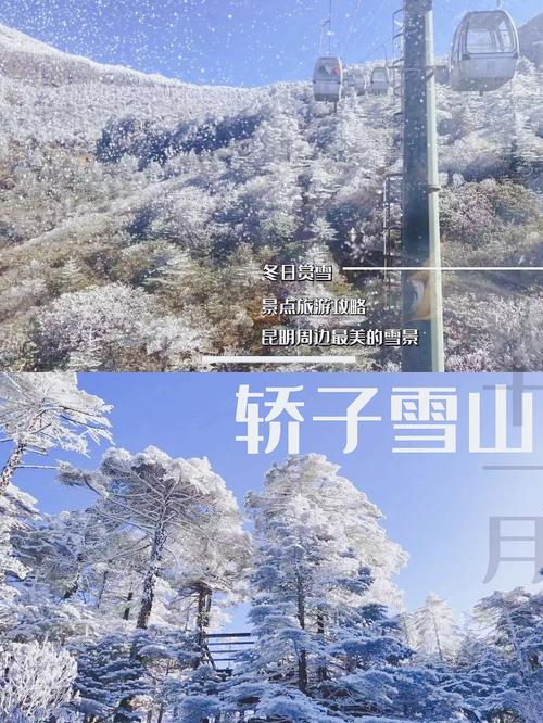 昆明旅游攻略冬季景点推荐一日游,昆明冬天旅游攻略-第1张图片-诗丽旅游网 昆明旅游攻略冬季景点推荐一日游,昆明冬天旅游攻略-第1张图片-诗丽旅游网