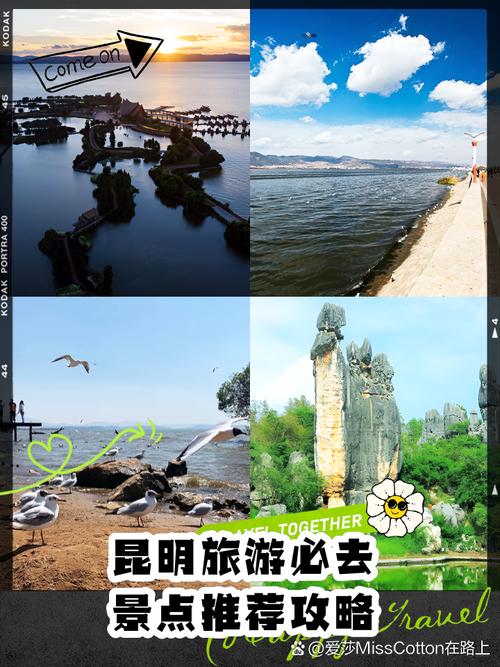 昆明旅游攻略冬季景点推荐一日游,昆明冬天旅游攻略-第2张图片-诗丽旅游网 昆明旅游攻略冬季景点推荐一日游,昆明冬天旅游攻略-第2张图片-诗丽旅游网