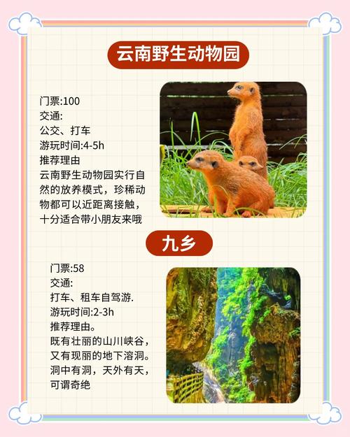 昆明旅游攻略冬季景点推荐一日游,昆明冬天旅游攻略-第5张图片-诗丽旅游网 昆明旅游攻略冬季景点推荐一日游,昆明冬天旅游攻略-第5张图片-诗丽旅游网