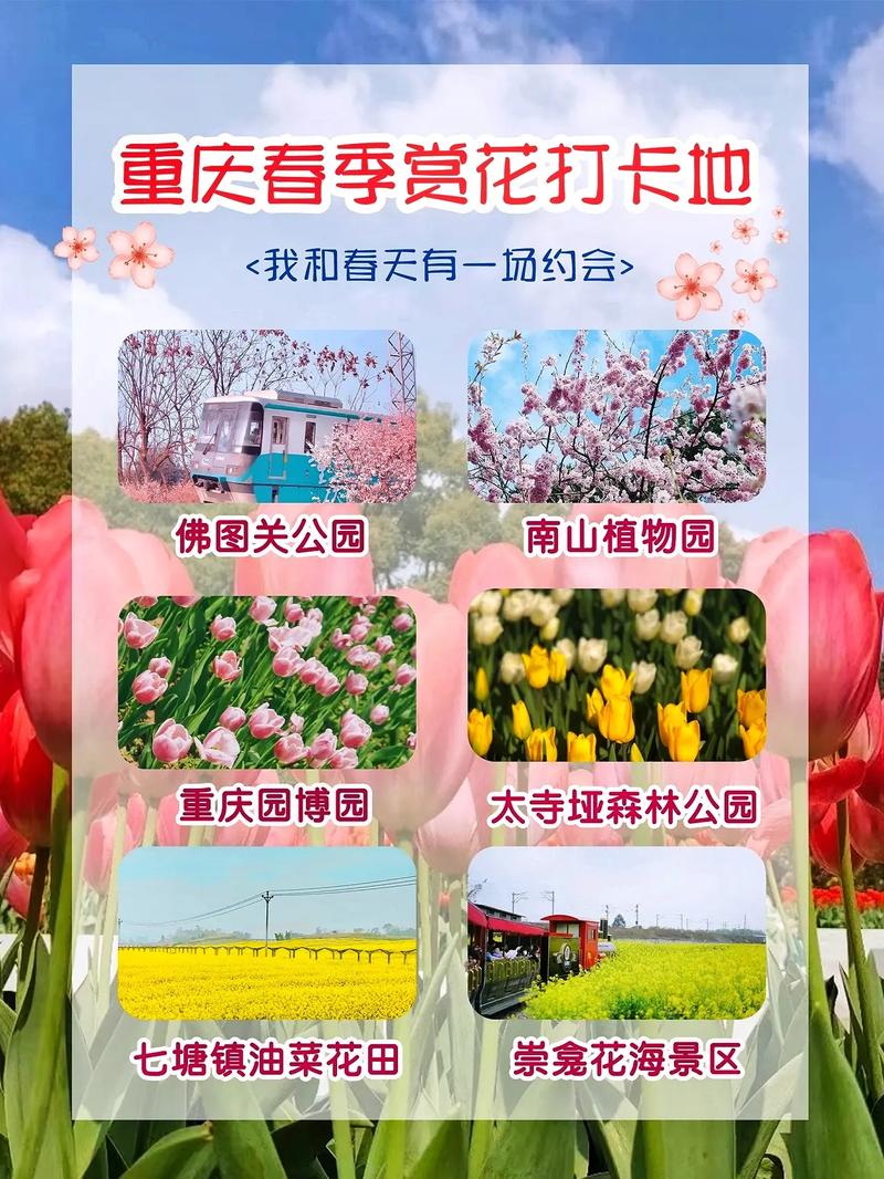 河南旅游攻略最全比较好的线路四颗树，河南四日游自驾路线-第1张图片-诗丽旅游网