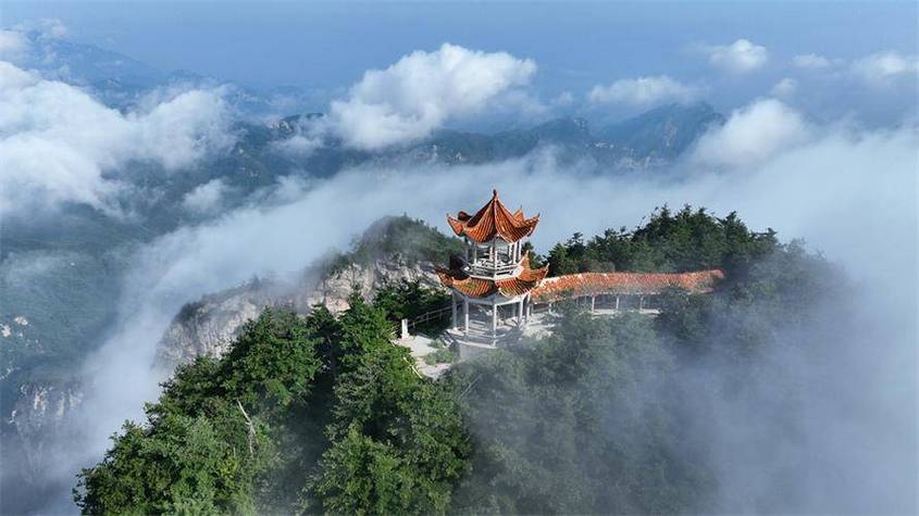 河南旅游攻略最全比较好的线路四颗树，河南四日游自驾路线-第4张图片-诗丽旅游网