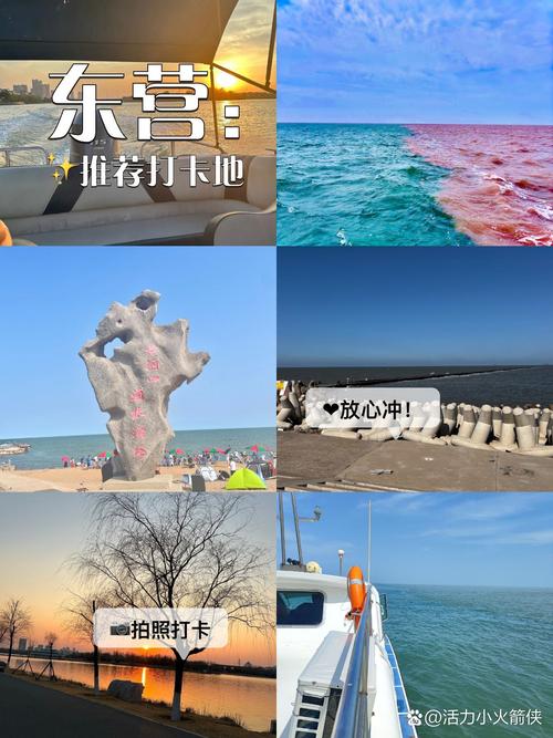 东营旅游景点大全排名榜,东营 旅游景点-第1张图片-诗丽旅游网 东营旅游景点大全排名榜,东营 旅游景点-第1张图片-诗丽旅游网