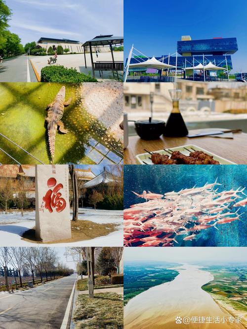 东营旅游景点大全排名榜,东营 旅游景点-第2张图片-诗丽旅游网 东营旅游景点大全排名榜,东营 旅游景点-第2张图片-诗丽旅游网