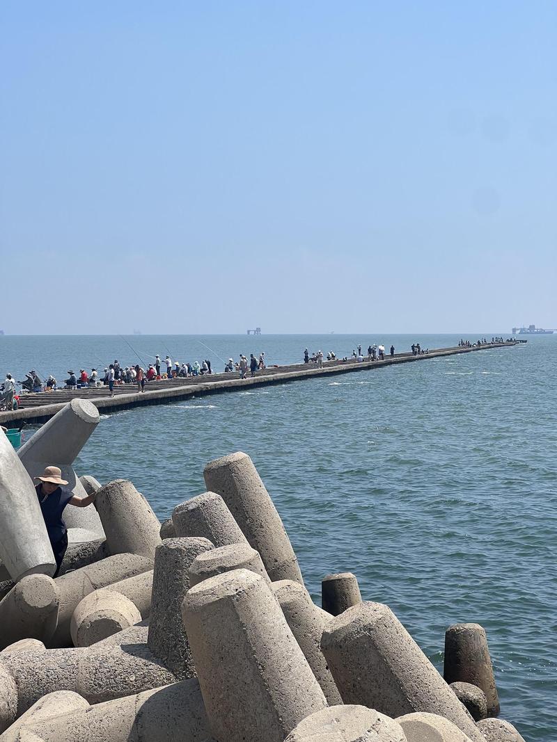 东营旅游景点大全排名榜,东营 旅游景点-第4张图片-诗丽旅游网 东营旅游景点大全排名榜,东营 旅游景点-第4张图片-诗丽旅游网